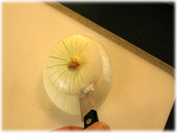 coring an onion