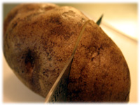 sliced baked potato 