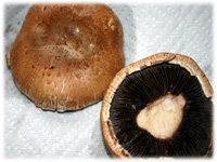 grilled portobello mushrooms