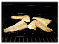 grilling haddock fish recipe