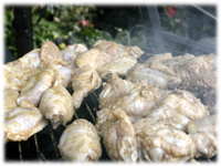 grilling wings