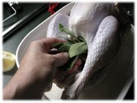 stuffing turkey with sage