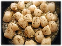 how to cook scallops
